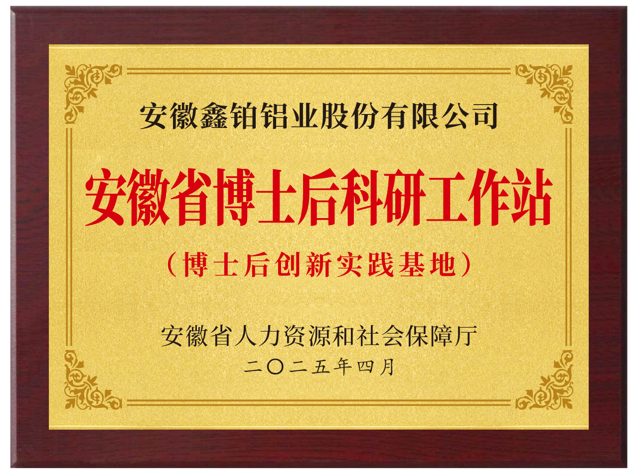 �ڲ�tengbo9885_��ҳ(��ӭ��)